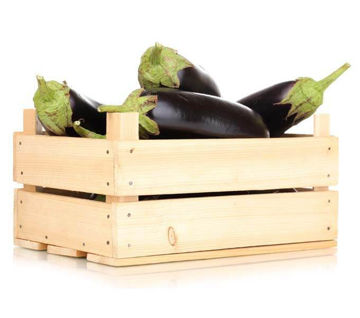 Buy Eggplants Box on Farzana.ae Buy Eggplants Box Online