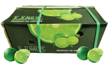 Buy Lime Box on Farzana.ae Buy Lime Box Online