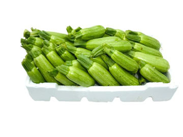 Buy MARROW Box on Farzana.ae Buy MARROW Box Online