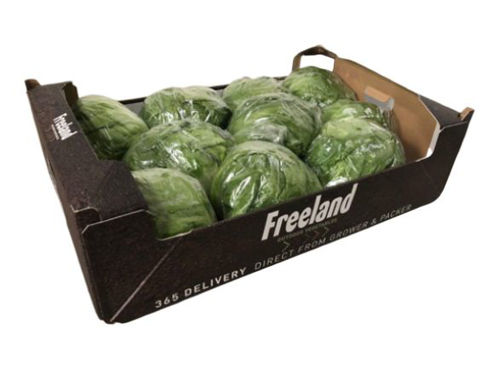 Buy Iceberg Box Online