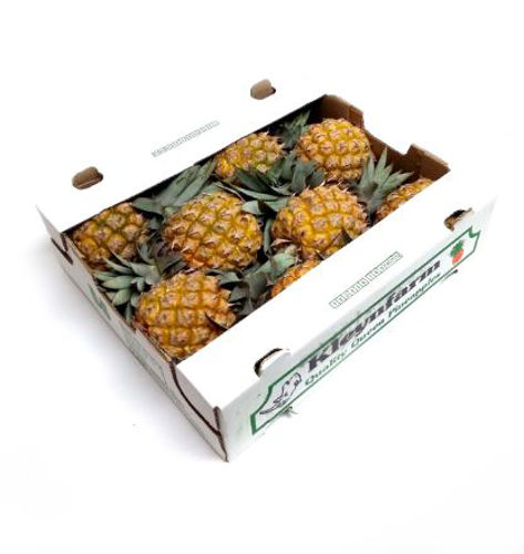 Buy Baby Pineapple Box Online