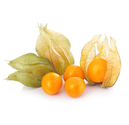 Buy Cape gooseberry Online