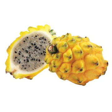 Buy Pithaya Yellow on Farzana.ae Buy Pithaya Yellow Online