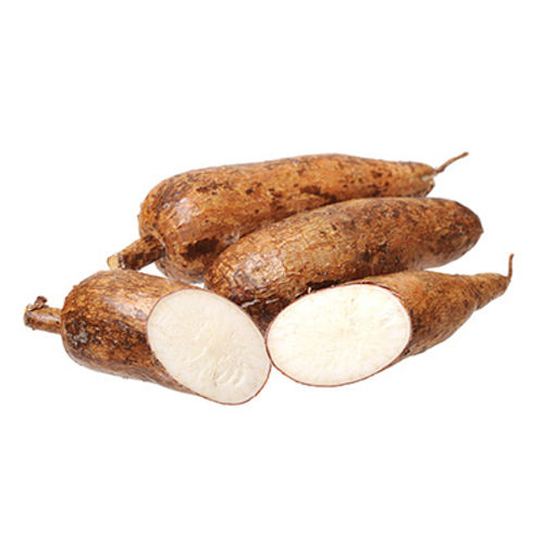 Buy Tapioca Online