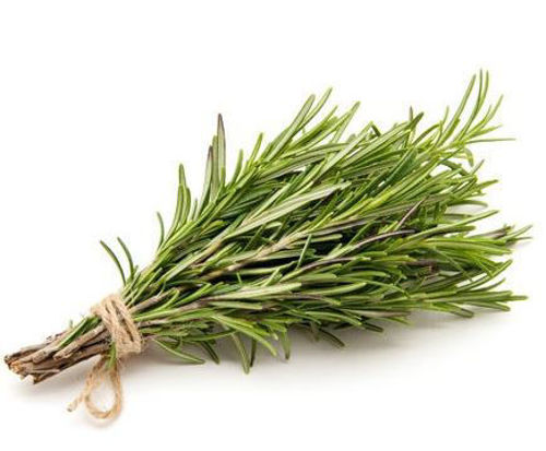 Buy Rosemary Online