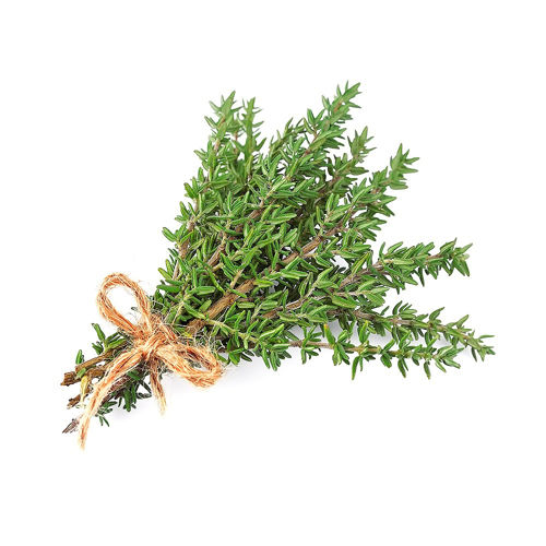 Buy Thyme Online