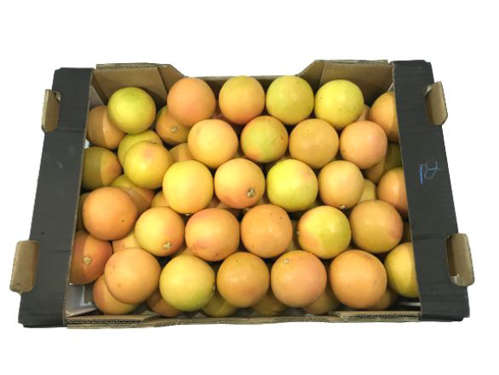 Buy Grapefruit Online