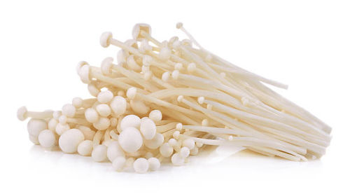 Buy White Enoki Online