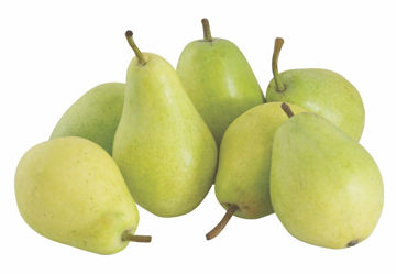 Buy Pears Coscia on Farzana.ae Buy Pears Coscia Online