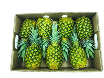 Buy Pineapple Box on Farzana.ae Buy Pineapple Box Online