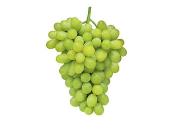 Buy Grapes White Seedless on Farzana.ae Buy Grapes White Seedless Online