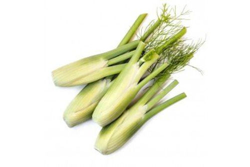 Buy Organic Baby Fennel Online