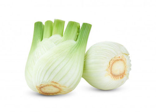 Buy Fennel Online