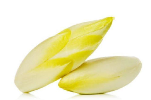 Buy White Chicory Online