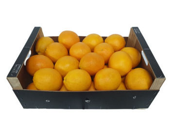 Buy Orange Navel Box on Farzana.ae Buy Orange Navel Box Online