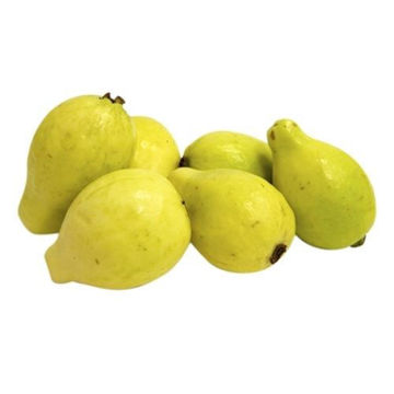 Buy Guava on Farzana.ae Buy Guava Online