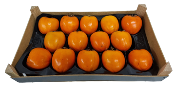 Buy Persimmon Box Online