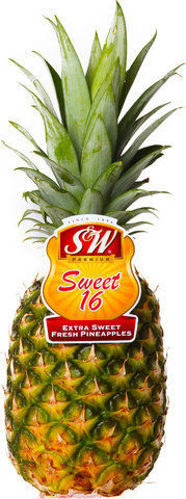 Buy PINEAPPLE SW Online