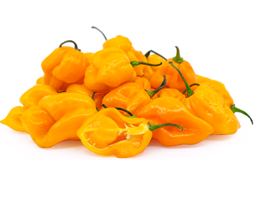 Buy Chili Habanero Yellow Online