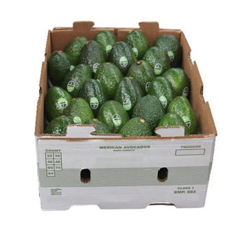 Buy Avocado Hass Box on Farzana.ae Buy Avocado Hass Box Online