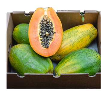 Buy Papaya Box (Ripen At Home) on Farzana.ae Buy Papaya Box (Ripen At Home) Online