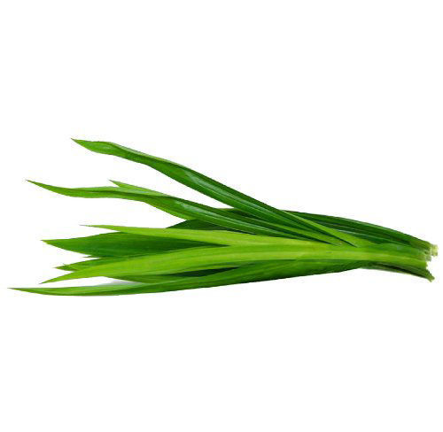 Buy Pandan Leaves Online