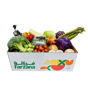 Buy Holiday Veggie Box Online