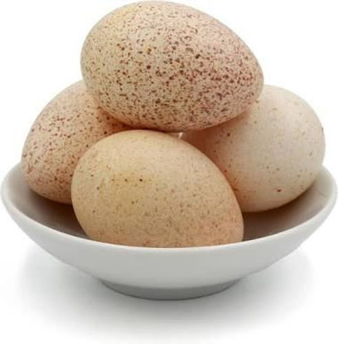 Turkey Bird Eggs 6's Online