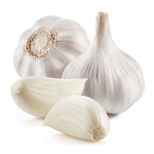 Buy Organic Garlic Online