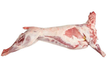 Buy Lamb Carcas Bone Whole (Frozen) 9.5 Kg on Farzana.ae Buy Lamb Carcas Bone Whole (Frozen) 9.5 Kg Online