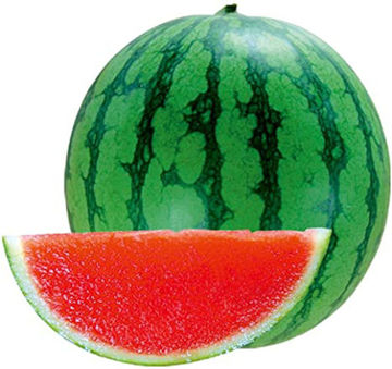 Buy Watermelon Seedless on Farzana.ae Buy Watermelon Seedless Online