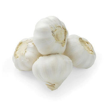Buy Garlic Online