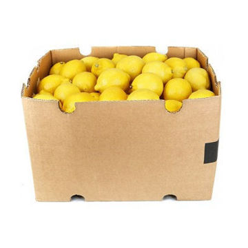 Buy Lemon Box on Farzana.ae Buy Lemon Box Online