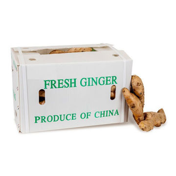 Buy Ginger Box on Farzana.ae Buy Ginger Box Online