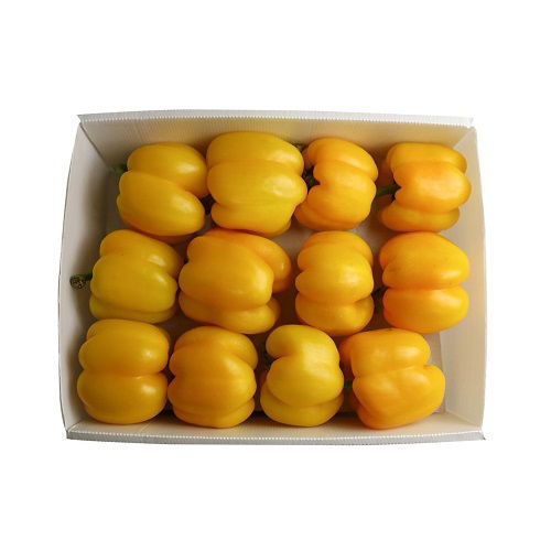 Buy Capsicum Yellow Box Online