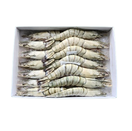 Picture of Black Tiger Prawns (10/20)