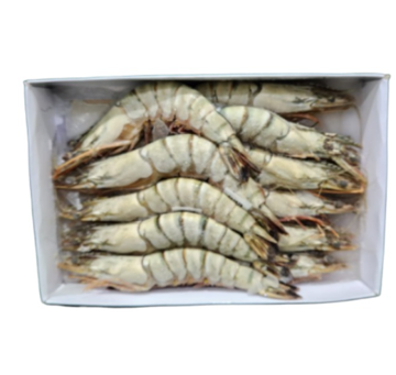 Show details for Black Tiger Prawns (U15) Picture of Black Tiger Prawns (U15)