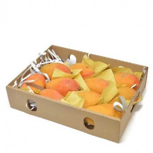 Buy Mango Timour Box Online