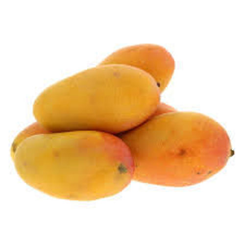 Mango Timour Online