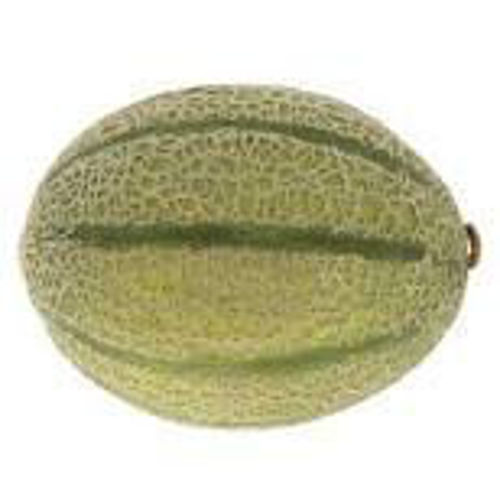 Rock Melon Online