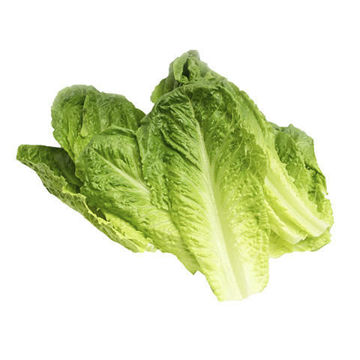 Picture of Freshly Cut  Romaine Lettuce 200g