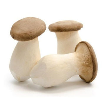 Picture of King Oyster Mushrooms  200g