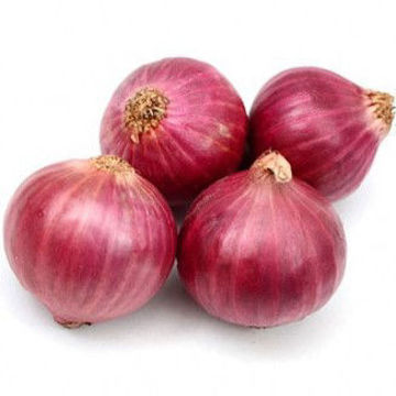 Picture of Onion Red India