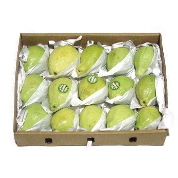 Picture of Guava Egypt Box