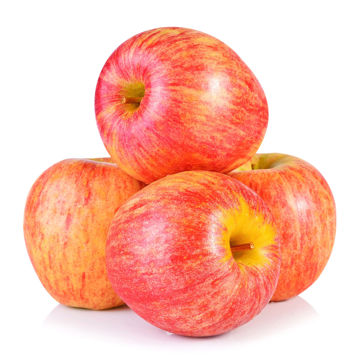 Buy Apple Royal Gala Online