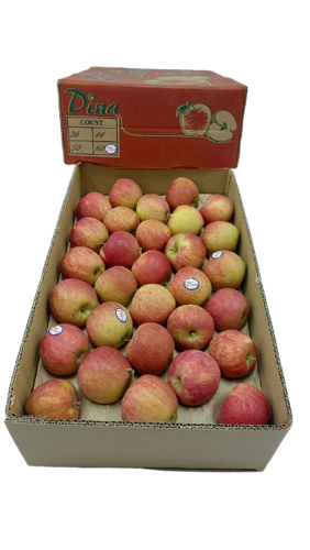 Picture of Apple Red Dina Box  8 kg