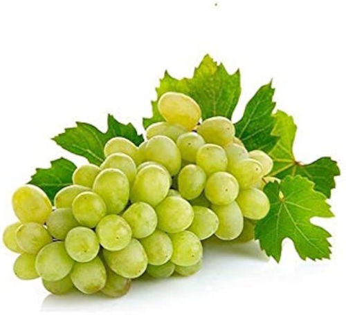 Picture of Grapes White Seedless