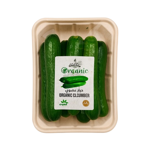 Picture of Organic Cucumber 500g